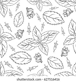 Mint leaves, peppermint buds isolated on white background, Hand drawn vector seamless patterns, spicy herbs, kitchen texture, Doodle cooking ingredient for design package tea, wallpaper, cosmetics