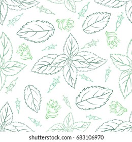 Mint leaves, peppermint buds isolated on white background, Hand drawn vector seamless patterns, spicy herbs, kitchen texture, Doodle cooking ingredient for design package tea, wallpaper, cosmetics