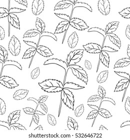 Mint leaves, peppermint isolated on white background, Hand drawn vector seamless patterns, spicy herbs, kitchen texture, Doodle cooking ingredient for design package tea, wallpaper, cosmetics, textile