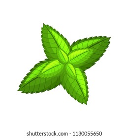 Mint leaves. Peppermint leaf. Cartoon icon. Isolated object on a white background. 