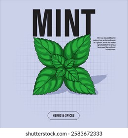 Mint Leaves Premium Vector Clipart High-Quality Illustration for Cooking Branding and Packaging