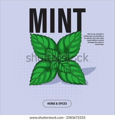 Mint Leaves Premium Vector Clipart High-Quality Illustration for Cooking Branding and Packaging