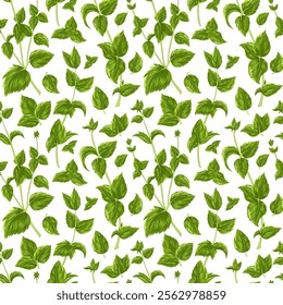 Mint leaves seamless pattern. Hand  drawn vector illustration. Decorative ornament with peppermint branches, fragrant herb, spice on white background for design, card, textile, print, wrapping