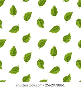 Mint leaves seamless pattern. Hand drawn vector illustration. Minimalistic decorative ornament with peppermint leaf, fragrant herb, spice on white background for design, card, textile, print, wrapping