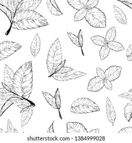 
Mint leaves seamless pattern .Style ink sketch of mint. Isolated on white background. Hand drawn vector.spearmint plant and leaves. Herbal engraved illustration. melissa,peppermint,spearmint.