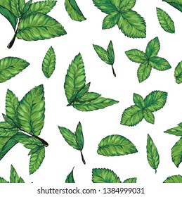 
Mint leaves seamless pattern .Style ink sketch of mint. Isolated on white background. Hand drawn vector.spearmint plant and leaves. Herbal engraved illustration. melissa,peppermint,spearmint.