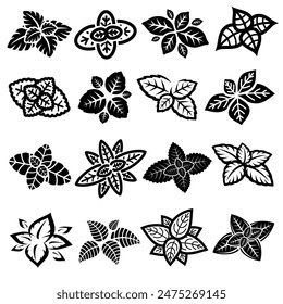 Minzblätter gesetzt. Kollektion Minze Blätter Symbol. Vektorgrafik