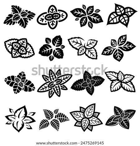 Mint leaves set. Collection mint leaves icon. Vector
