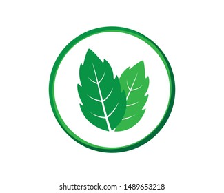 Mint Leaves Sign or Symbol