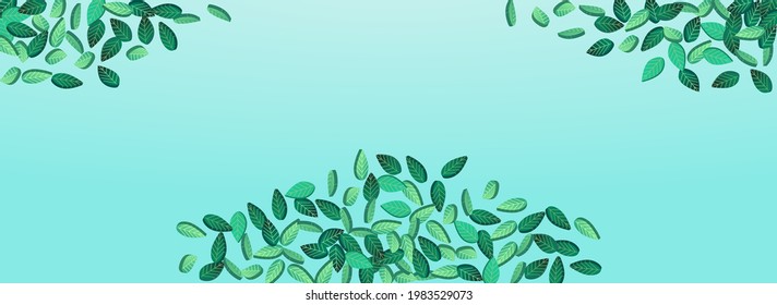 Mint Leaves Spring Vector Panoramic Blue Background Design. Abstract Greens Border. Forest Leaf Tree Plant. Foliage Organic Brochure.