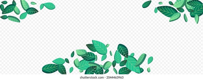 Mint Leaves Spring Vector Panoramic Transparent Background Template. Fly Leaf Poster. Forest Foliage Motion Wallpaper. Greens Fresh Banner.