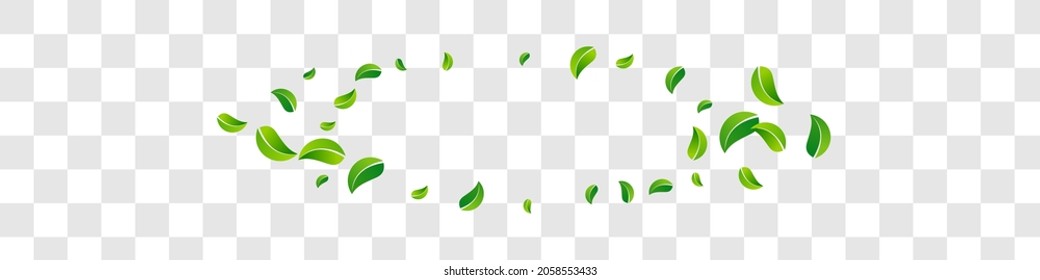 Mint Leaves Spring Vector Panoramic Transparent Background Branch. Motion Leaf Brochure. Olive Greens Tea Illustration. Foliage Herbal Plant.
