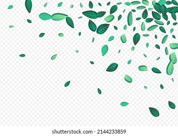Mint Leaves Spring Vector Transparent Background Plant. Falling Foliage Wallpaper. Lime Greens Abstract Template. Leaf Forest Design.