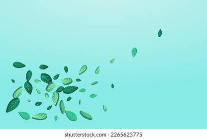 Mint Leaves Swirl Vector Blue Background Banner. Fresh Greens Concept. Swamp Foliage Blur Template. Leaf Falling Border.