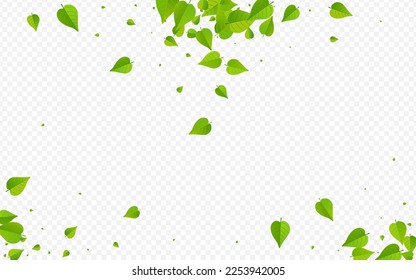 Mint Leaves Swirl Vector Transparent Background Poster. Flying Greens Wallpaper. Forest Foliage Spring Backdrop. Leaf Tree Plant.
