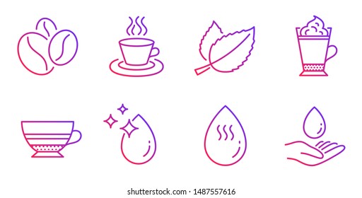 Mint leaves, Tea cup and Coffee beans line icons set. Mocha, Water drop and Hot water signs. Latte coffee symbol. Mentha herbal, Roasted seeds. Food and drink set. Gradient mint leaves icon. Vector