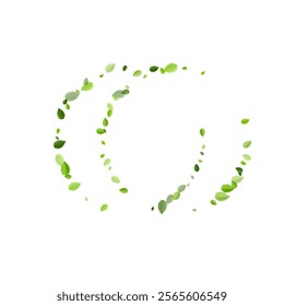 Mint Leaves Tea Vector Design. Herbal Leaf Border. Swamp Foliage Falling Branch. Greens Fly Concept.