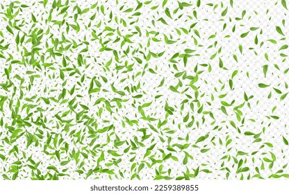Minze hinterlässt Teevektorhintergrundhintergrundhintergrund. Motion Leaf Poster. Realistische Zweigstelle des Waldes Foliage. Grüne Frühlingsmuster.