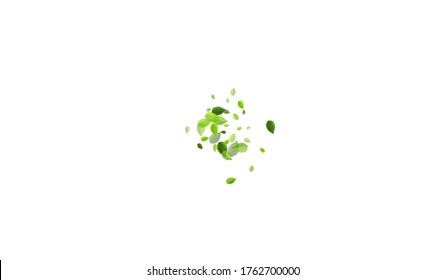 Mint Leaves Transparent Vector Wallpaper. Flying Greens Banner. Grassy Foliage Tea Illustration. Leaf Ecology Branch.
