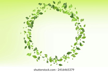 Mint Leaves Tree Vector Green Background Illustration. Wind Foliage Pattern. Swamp Leaf Realistic Banner. Greenery Falling Branch.