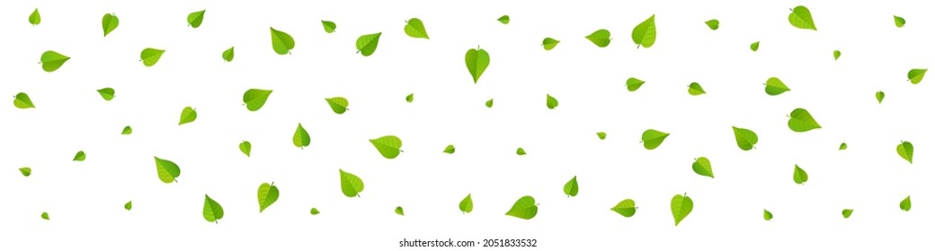 Mint Leaves Tree Vector Panoramic White Background Border. Blur Greens Pattern. Forest Leaf Wind Poster. Foliage Swirl Banner.