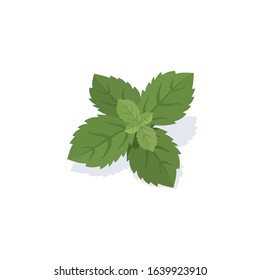 Mint Leaves. Vector 3d isometric, color web icon, new flat style. Creative illustration design, idea for infographics.