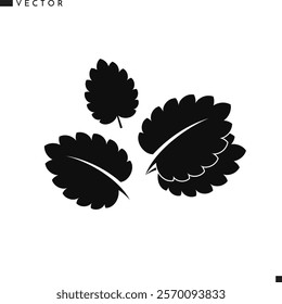 Mint leaves. Mint vector. Vector illustration EPS