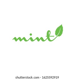 mint leaves vector  organic logo concept template illustration