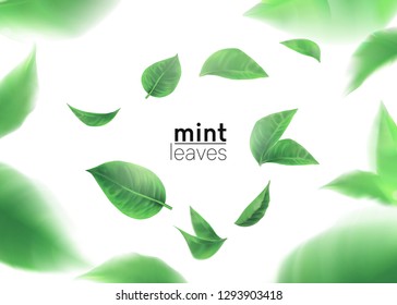 Mint leaves  whirl in the air.  Element for design, advertising, packaging products .white background 3d illustration