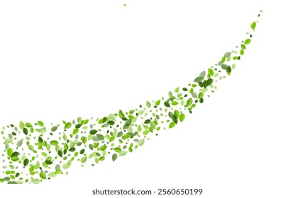 Mint Leaves Wind Vector Template. Nature Leaf Pattern. Grassy Greens Spring Illustration. Foliage Motion Border.