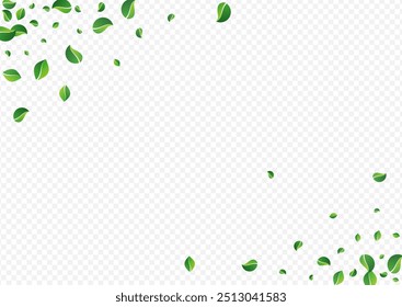 Mint Leaves Wind Vector Transparent Background. Flying Greens Pattern. Green Foliage Blur Banner. Leaf Abstract Branch.