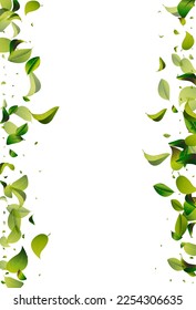 Mint Leaves Wind White Vector Background Template. Blur Foliage Branch. Grassy Greens Motion Concept. Leaf Tree Banner.