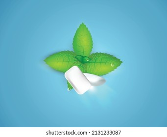 Mint Leaves And Mint, Xylitol Gum Vector Illustration 