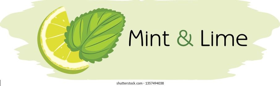 Mint and lime. Drawing for label design. Vector