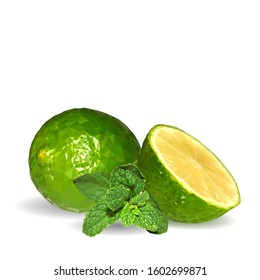 Mint with lime low poly. Fresh, nutritious and tasty mint with lime. Symbols of fruits. Elements for label design. Vector illustration. Fruits ingredients in triangulation technique. Mojito.