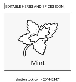 Mint line icon. Aromatic herb. Chilling plant for tea, hard drinks and medicine. Herbs and spices concept. Isolated vector illustration. Editable stroke