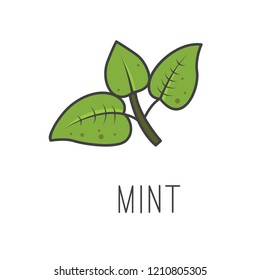 mint line vector illustration, cooking isolated icon.
