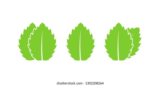 Mint logo. Isolated mint on white background