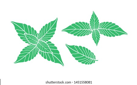 Mint logo. Isolated mint on white background