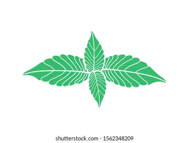 Mint logo. Isolated mint on white background