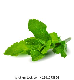 Mint low poly. Scented fragrance and fresh mint. Elements for label design. Vector illustration. Mint in triangulation technique. Mojito.