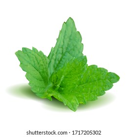 Mint low poly. Scented fragrance and fresh mint. Elements for label design. Vector illustration. Mint in triangulation technique. Mojito.