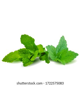 Mint low poly. Scented fragrance and fresh mint. Elements for label design. Vector illustration. Mint in triangulation technique. Mojito.