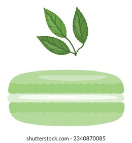 Mint macaroon icon cartoon vector. French cookie. Pastry green