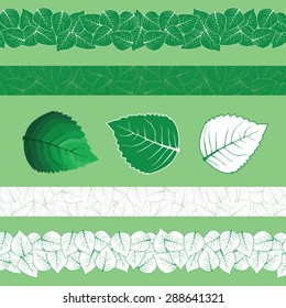 Mint and Menthol Vector