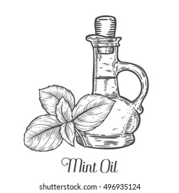 Mint oil bottle seed vector. Isolated on white background. Mint essence aroma ingredient. Engraved hand drawn illustration in retro vintage style. Organic Aromatherapy, cosmetics, treatment component.