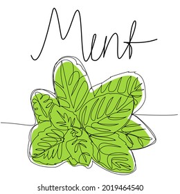 Mint one line with green background. Stylized tea plant for packaging. Vector illustration.