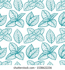 Mint. Peppermint leaves hand drawn seamless pattern. Mint leaves sketch drawing endless texture.