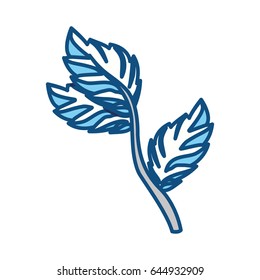 Mint plant leaves
