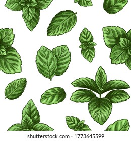 Mint seamless pattern. Green peppermint leaves, spearmint healing herb. Melissa botanical vector wallpaper print texture. Engraved herbal plant isolated in white background for fabric